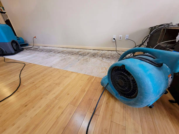 Professional Water Damage Repair technician working in Peoria, AZ